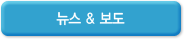 뉴스&보도