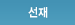 선재